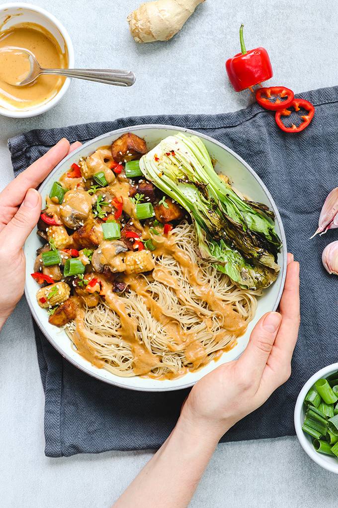 A bowl of noodles with vegetables, tofu and drizzles of peanut sauce on top