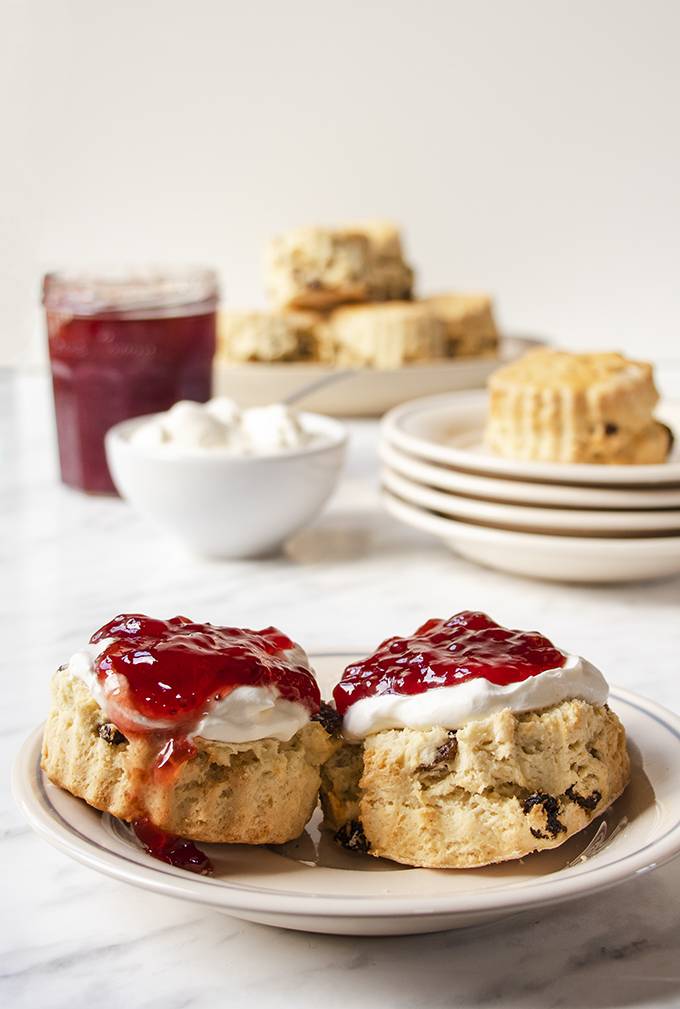 A sultana scone on a white plate, cut in half and topped with cream and jam.